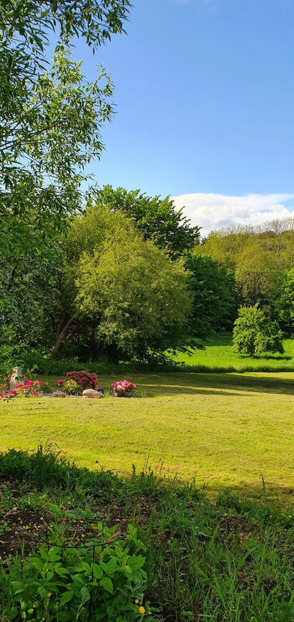 Hos Molsgaarden Bed and Breakfast Knebel Eksteriør billede
